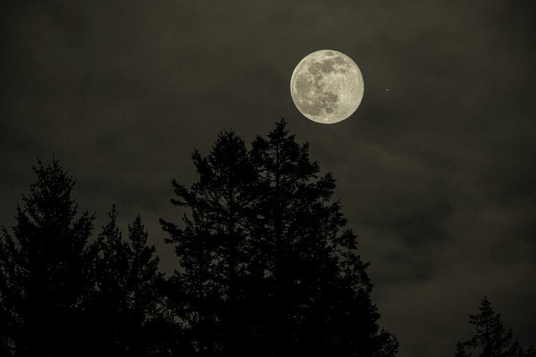 Snow Moon Sunday Night