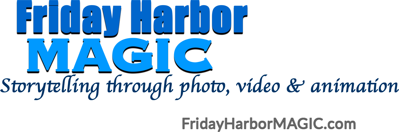 Friday Harbor Magic